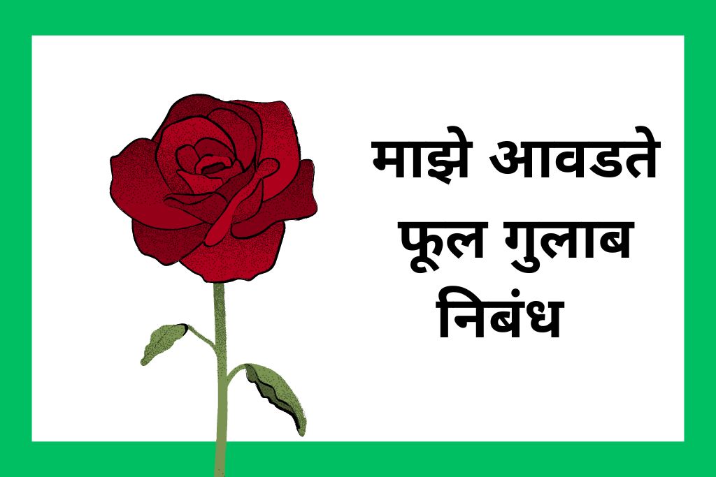 माझे आवडते फूल गुलाब निबंध Write Essay On Rose In Marathi