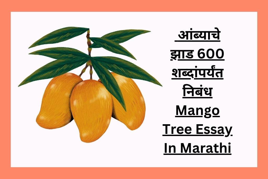 आंब्याचे झाड 600 शब्दांपर्यंत निबंध Mango Tree Essay In Marathi