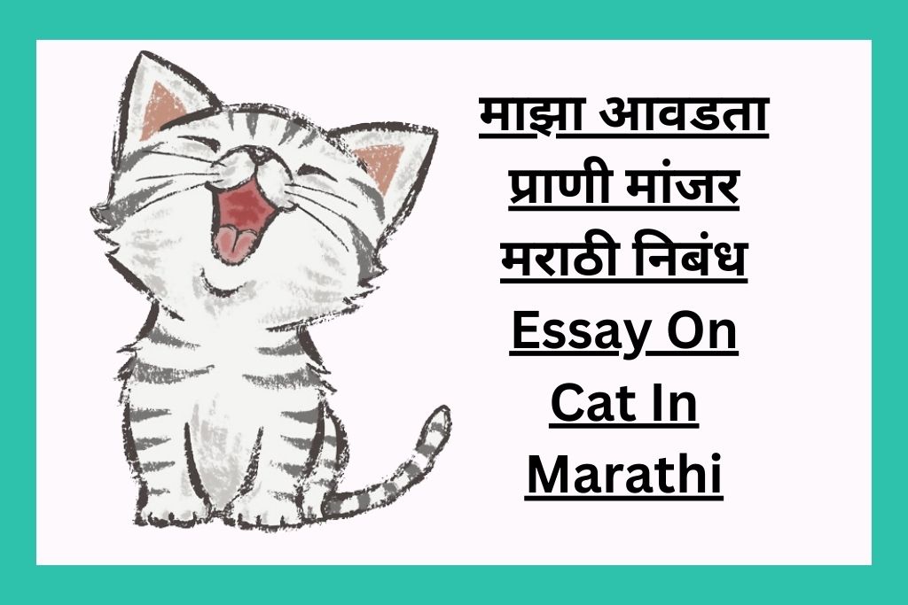 माझा आवडता प्राणी मांजर मराठी निबंध Essay On Cat In Marathi