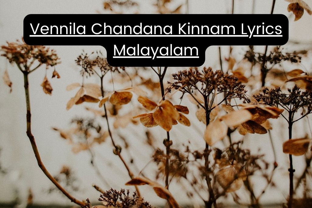 Vennila Chandana Kinnam Lyrics Malayalam